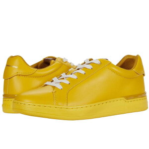 R[` Xj[J[ fB[X  uh R 傫TCY Coach