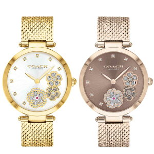 �R�[�` �r���v ���f�B�[�X �u�����h ���v ���킢�� ���� ������� �㕥�� COACH Park �p�[�N