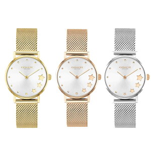 �R�[�` �r���v ���f�B�[�X �u�����h ���v ���킢�� ���� ������� �㕥�� COACH Perry �y���[