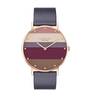 R[` rv fB[X uh v 킢   㕥 COACH Perry y[