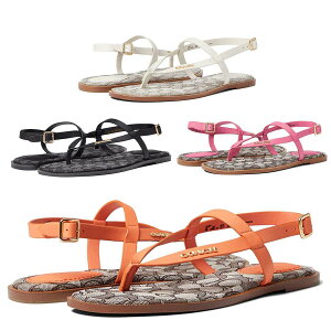 R[` T_ fB[X ؂ uh VOl`[ 傫TCY AEgbg  Coach