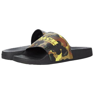 R[` T_ Y uh   傫TCY V[T_ X|[cT_ Coach