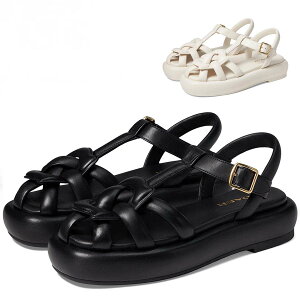 R[` T_ fB[X  Ȃ ₷ uh EGbW\[ 傫TCY Coach Penney yj[