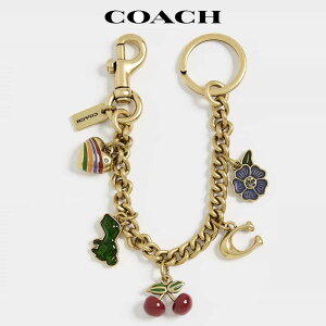 R[` L[z_[ obO`[ uh `F[ 킢 炶 v[g  COACH