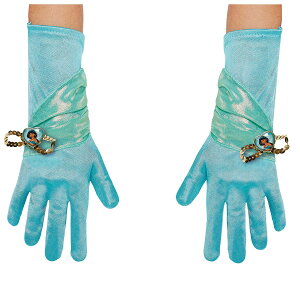 AW WX~ LbY qp  ߑ nEB fBYj[ Disney Alladin