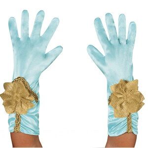 AW WX~ cp O[u ߑ LbY nEB fBYj[ Disney Alladin