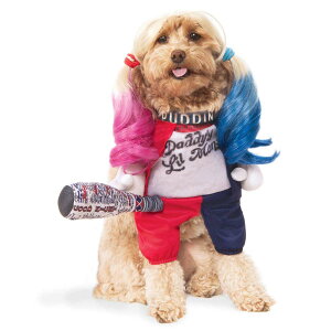 n[CNC RXv ybg  yV  ߑ D o HarleyQuinn