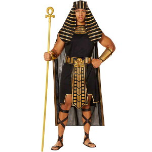 GWvg t@I RXv l Ñ l ߑ  傫TCY nEB Egyptian pharaoh