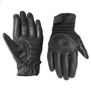 n[[_rbh\ oCN O[u v X}zΉ h  oCJ[O[u 傫TCY Harley Davidson