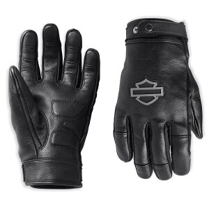 n[[_rbh\ oCN O[u v X}zΉ h  oCJ[O[u 傫TCY Harley Davidson