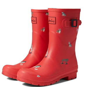 W[Y Cu[c C fB[X  O V[g y 傫TCY Joules Molly [[