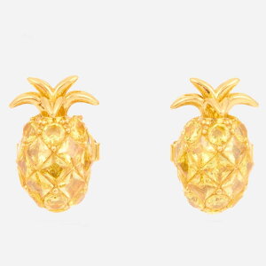 PCgXy[h sAX uh pCibv WRjA 킢  S[h ςȂ kate spade