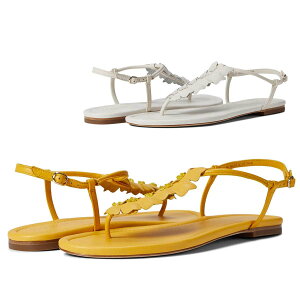 PCgXy[h T_ fB[X ؂ uh ₷  傫TCY [q[ Kate Spade New York