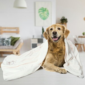 y5OFF|Cg2{zyyV1ʁzybgp^Iyz̓AbvIzp^I z }CNt@Co[ z^I oX^I ̐@^I FIyyΉz