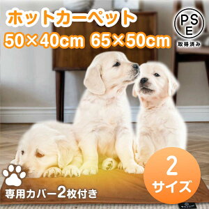 ybgpzbgJ[ybg X}[gP 50×40cm 65×50cm IP67h pJo[2t ybgq[^[  zbg dCѕz ^ ^ L dCѕz ΍ g[ Rی ybgpi 