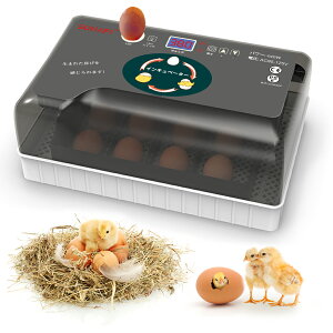 【楽天1位】自動孵卵器 インキュベーター 恒温器 鳥類専用ふ卵器 孵化器 自動転卵式 アヒル 鶏卵 アヒル うずら 恒温孵化器
