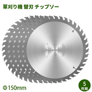 y5OFFɃ|Cg2{z`bv\[ @ ֐n `bv\[ Oa150mm 5 ֐n  @p @p