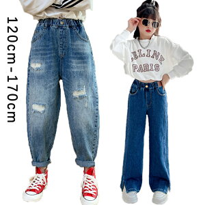 yVzLbY ̎q fjpc e[p[hpc WjA yfj EGXgS u[ 120 130 140 150 160 170 W[p W[Y ₷ _X ߑ t  H ~ w W[