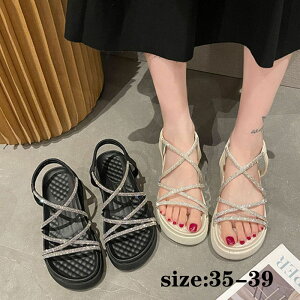 fB[X V[Y T_  OfBG[^[T_ C  LL ₷ Ȃ ~  ؍ ėpT_ tbgT_ C r[`  v[ C 