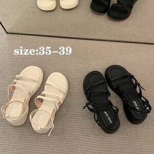 OfBG[^[T_ fB[X V[Y T_ C V   ₷ Ȃ ~ ؍ T_ tbgT_ v[ C C r[`  p 