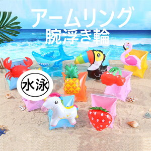 yzS11FIr  A[O qp A[ O  r V ċx C v[ j LbY ǂ   j̕⏕ 