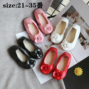 փtH[}C PlC  ԕ ̎q vZX qǂC  xr[ LbY Pn C LbYV[Y { ₷ JWA  w Ǝ sAm\ 21 22 23