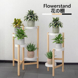  t[X^h  RpNg 3i 4i ԑ  K[fjObN X^h Aؔ gCt /x_/ t[bN rO[/O K[f