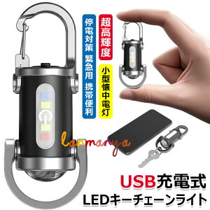 【6%OFFクーポン配布中!】ポケットサイズ キーチェーン ライト ワークライト キーチェーン USB充電式 高輝度 懐中電灯 小型懐中電灯 ポータブル LEDキーチェーンライト 軽量 携帯便利 アウト
