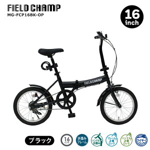 ܂肽ݎ] ] 16C` ~S FIELD CHAMP ܏ݎ] y RpNg ʋ ʊw