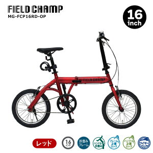 ܂肽ݎ] ] 16C` ~S FIELD CHAMP ܏ݎ] y RpNg ʋ ʊw