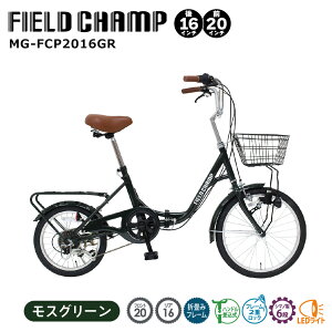 ܂肽ݎ] ] ܏ݎ] tB[h`v FIELD CHAMP 20C` 16C` 6iϑ V}m O Cg ALA ʋ ʊw