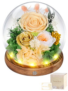 �v���U�[�u�h�t�����[ �K���X�h�[�� LED���C�g�t�� ��̓� �͂�Ȃ��� �{���̃o�� �A�����W�����g ��̓� ���� �l�C ���� ���j�� �a���� �L�O�� ���j�� �v���[���g
