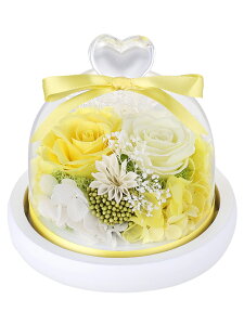�v���U�[�u�h�t�����[ �n�[�g�K���X�h�[�� ��̓� �o�� �͂�Ȃ��� LED���C�g�t�� �a���� �L�O�� ���� �v���[���g �l�C ���j�� ���� �o�����^�C�� �h�V�̓� ���蕨