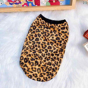 hbOEFA ^Ngbv  ėp    bV ʋC  efB rV |jA Ip[h ViEU[ ^ ^ Lp xXg