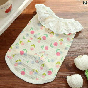 hbOEFA ^Ngbv  Rbg ^ p xXg  h~ S[fgo[ R[M[ ^  ėp  ʋC ybg L 