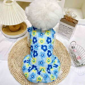 hbOEFA ^Ngbv  ^ p ėp ʋC hXB L efBxA ^  ^ B