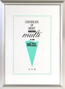 C^ z ܏z PICTURE_FRAME