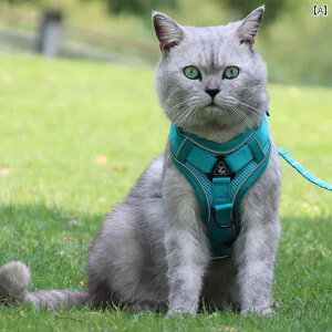 Lp n[lX [h Lp  [v ܂ h~ \ xXg X^C Lk  ʋC `FXgXgbv CN[ z[ Lbg