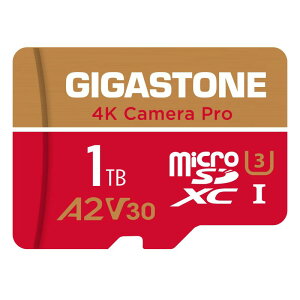 GIGASTONE �}�C�N��sd�J�[�h 1TB-4-1 Core Group