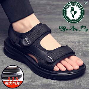 SnQ Y T_ EbhybJ[ T_ Y GA NbV  JWA AEghA xgi  \tg \[ hCrO r[` V[Y