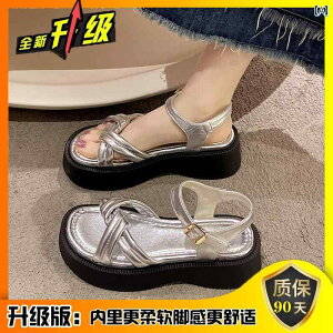 SnQ fB[X T_  Vo[ T_ fB[X 2025 XJ[g t JWA X|[c Ch r[` [}