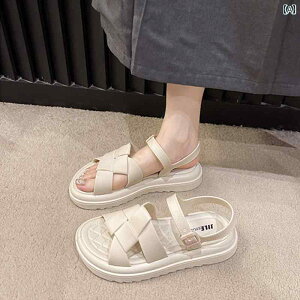 SnQ fB[X T_ fB[X T_  2025V X^C AEghA X|[c JWA \tg \[  ~ r[` [}