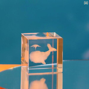 킢  G _   L[u  i ̗p  ׋   VN 蕨