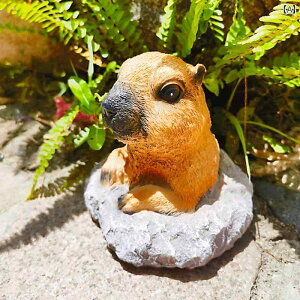  킢  K[fjO K[f oRj[ CAEg K[fjO fR[V 킢 OEhzbO fXN gbv qp z[ ANZT[ Mtg