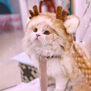  Xpbc Y L ^  킢 hX Abv Lp ybg }g VN h  q Mtg V[