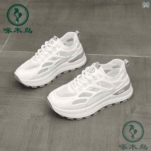 EH[LO V[Y Y EbhybJ[ Ă X|[c JWA V[Y ʋC bV C fB[X zCg \tg \[ Cg