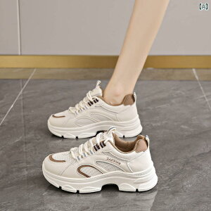 SnQ EH[LOV[Y fB[X t  fB[X  y C _炩  2025N v X|[c V[Y ~ t w