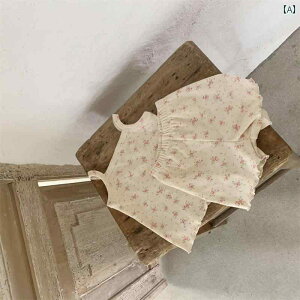 xr[  K Ă  Ԃp m[X[u ^Ngbv TVc V[g pc c[s[X ԕ Rbg z[EFA X[c ؍