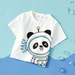 xr[  K xr[  TVc j̎q ̎qp   gbvX ̎q   q c 1