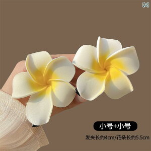 L[g wAANZA[ s vA wA Nbv Xq 2024 V nCGh   Cӂ gTCh fB[X TCh